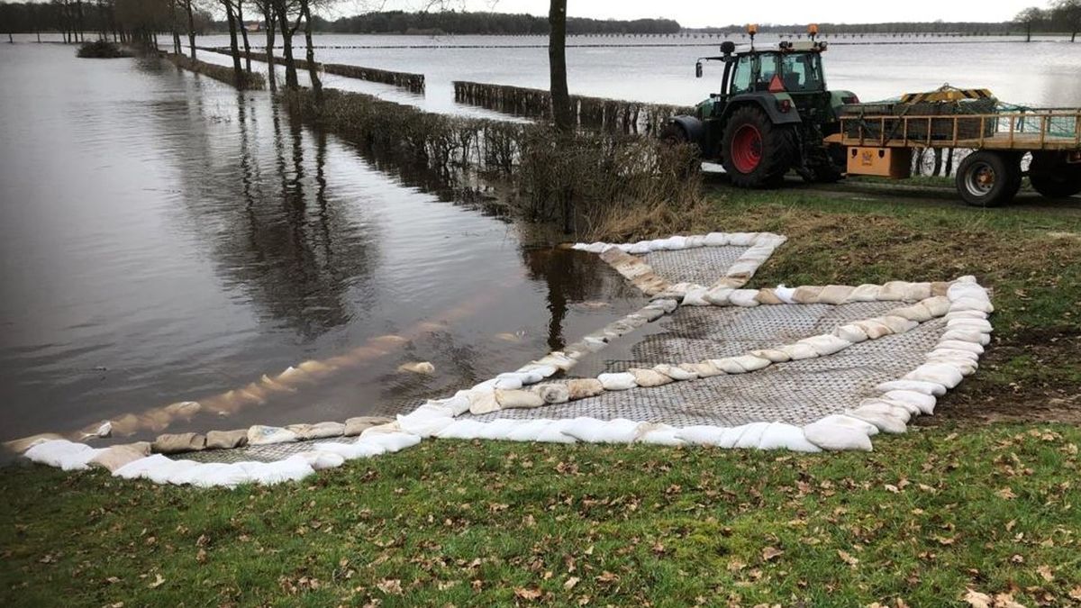 Dijk langs de Vecht bij Vilsteren gedicht met grote pleister