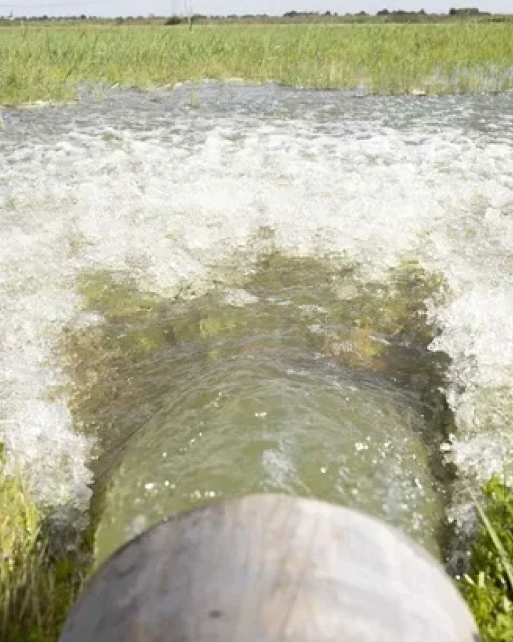 Speeltuin de vogelenzang Hattemerbroek (@VogelenzangDe) / Posts