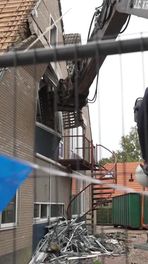 Vleermuizenverhuizing
