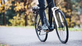 Limburgse e-bikes meest gewild bij dieven