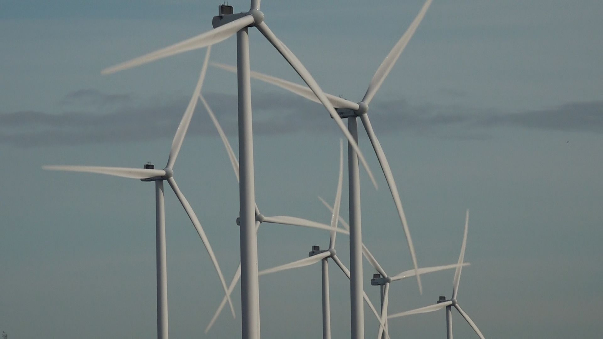 'Provincie moet inwoners beschermen tegen Duitse windturbines'