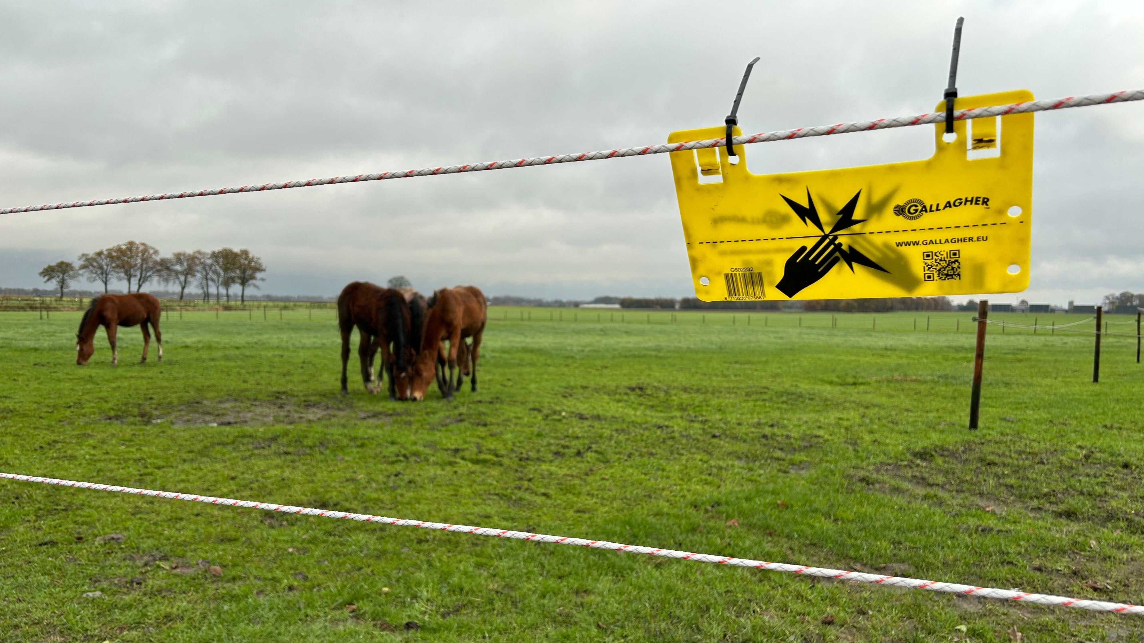 In stek fan it Wolf Fencing Team Vlaanderen