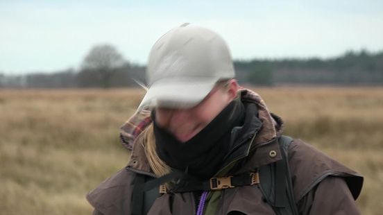 Herder schaapskooi 't Hijkerveld krijgt versterking