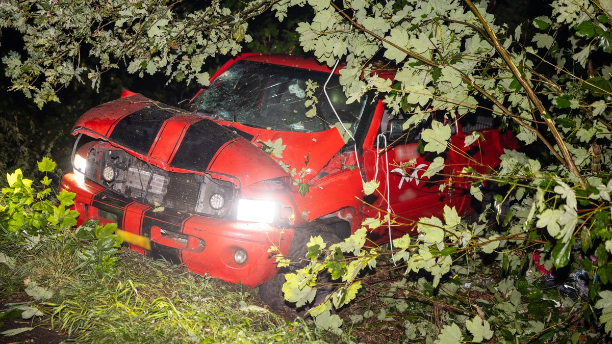 Man (44) uit Ommen overleden bij eenzijdig ongeval