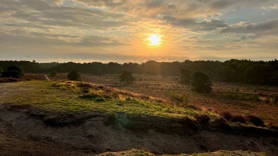 Mogelijk recordtemperatuur: lenteweer op komst!