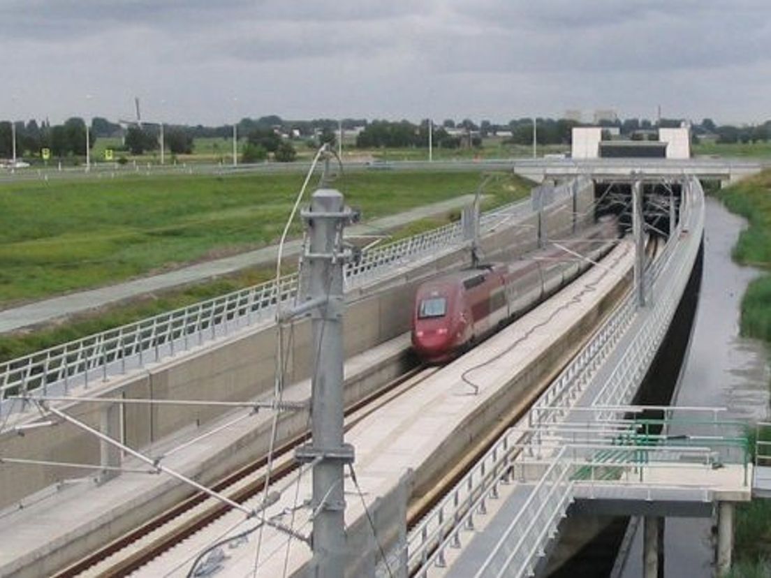 hsl.cropresize.1.jpg
