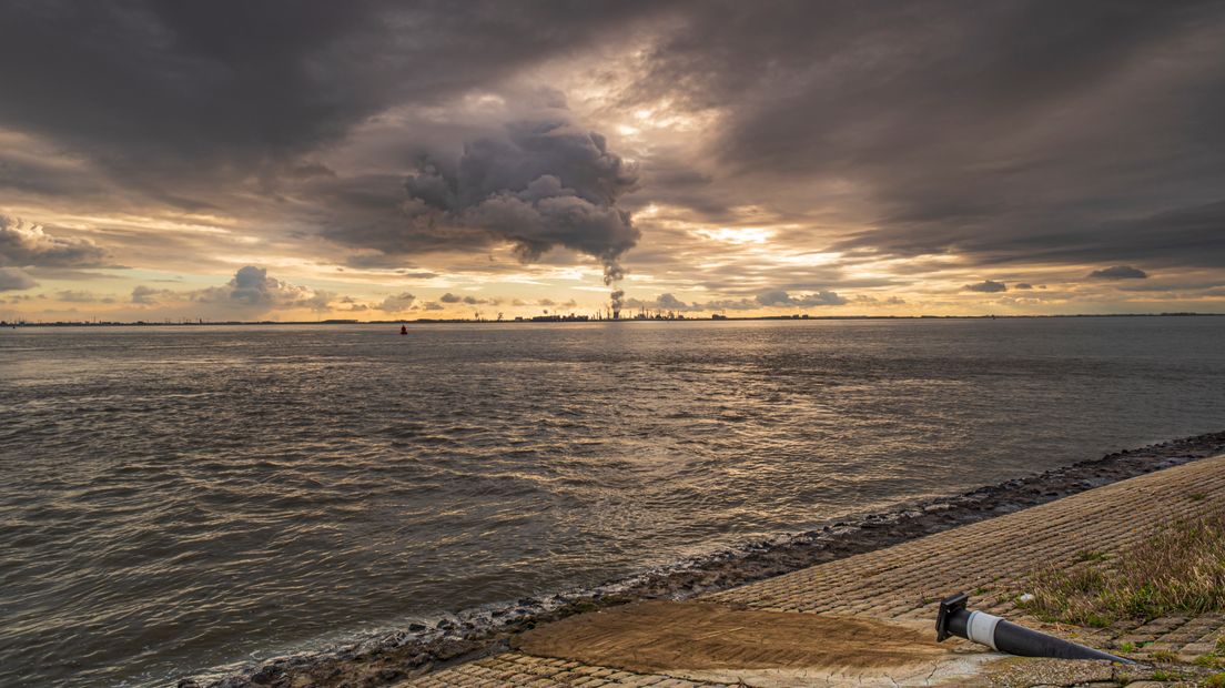 Westerschelde pfas
