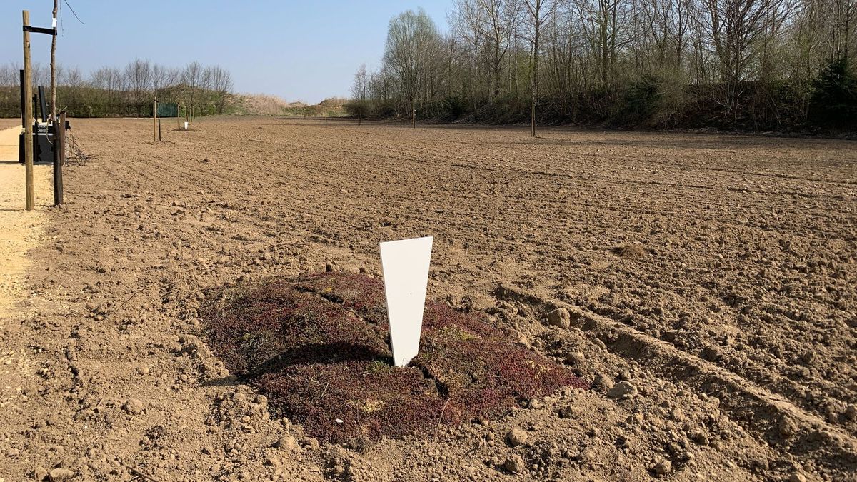 L1mburg Centraal: Landschapsbegraafplaats in Ulestraten