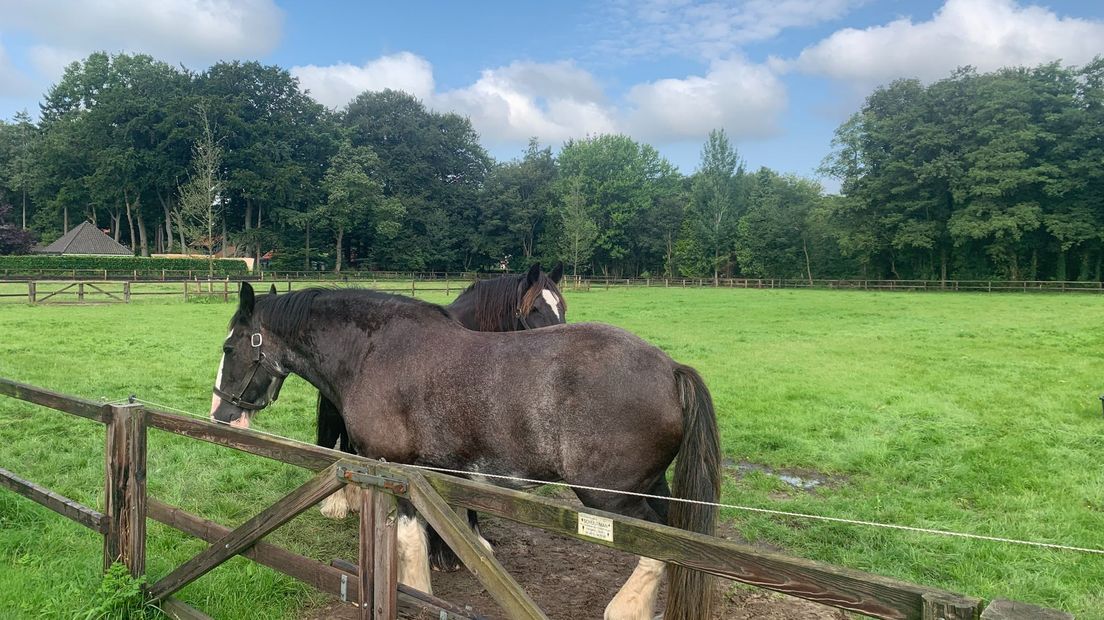 De tegenover gelegen paardenweide is inmiddels verkocht aan de buurman