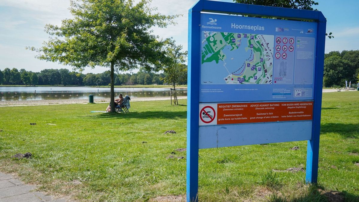 Ondanks negatief zwemadvies Hoornseplas is het water volgens Meerschap Paterswolde 'subliem'