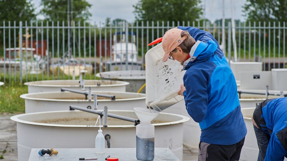 In ûndersiker fan Wageningen Marine Research dwaande yn Den Helder