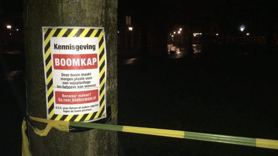 Bomen zijn gemarkeerd (Rechten: RTV Drenthe)