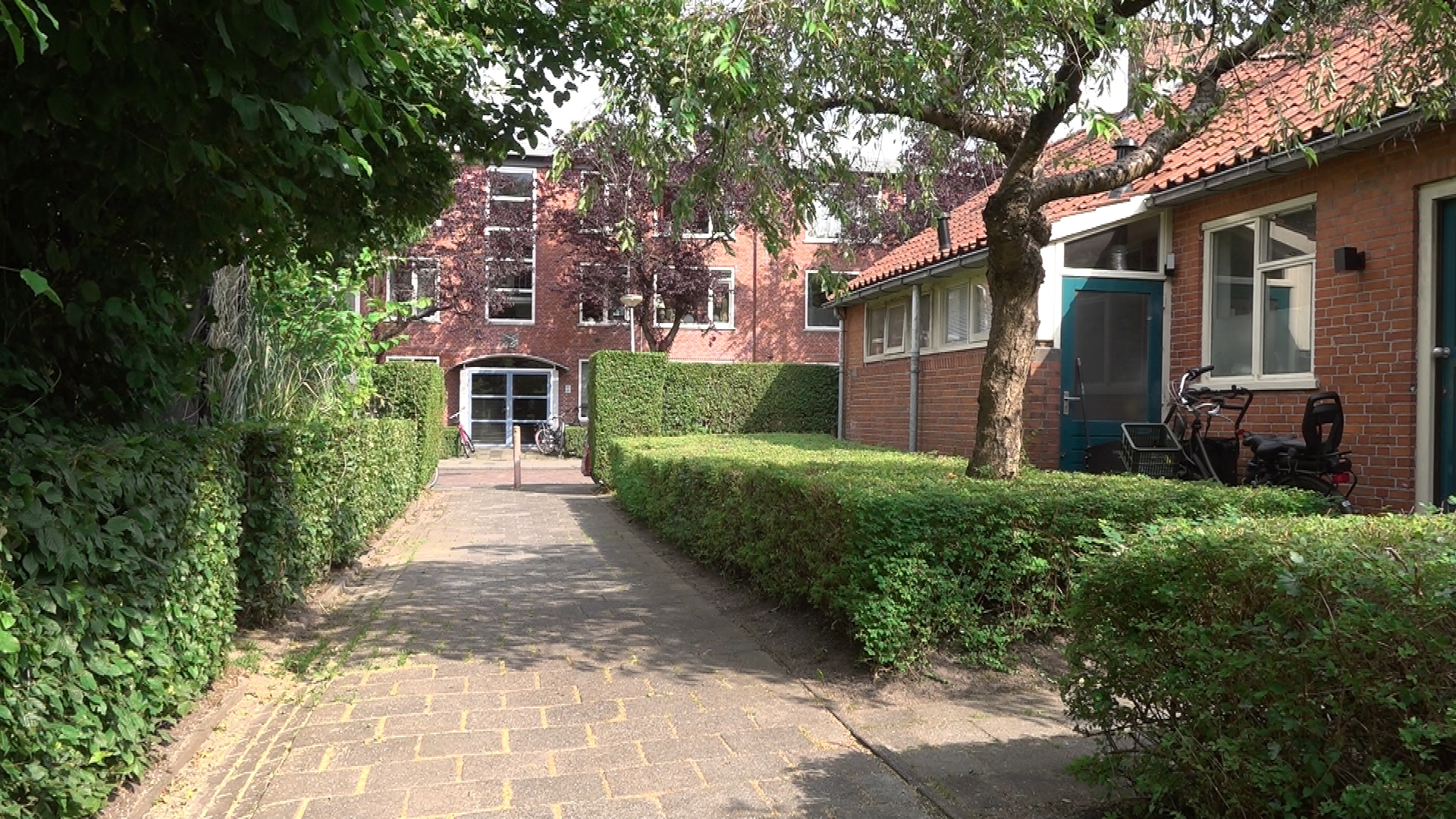 Kabouterhuisjes in Stad lijken gered van sloop: 'Het zou hee