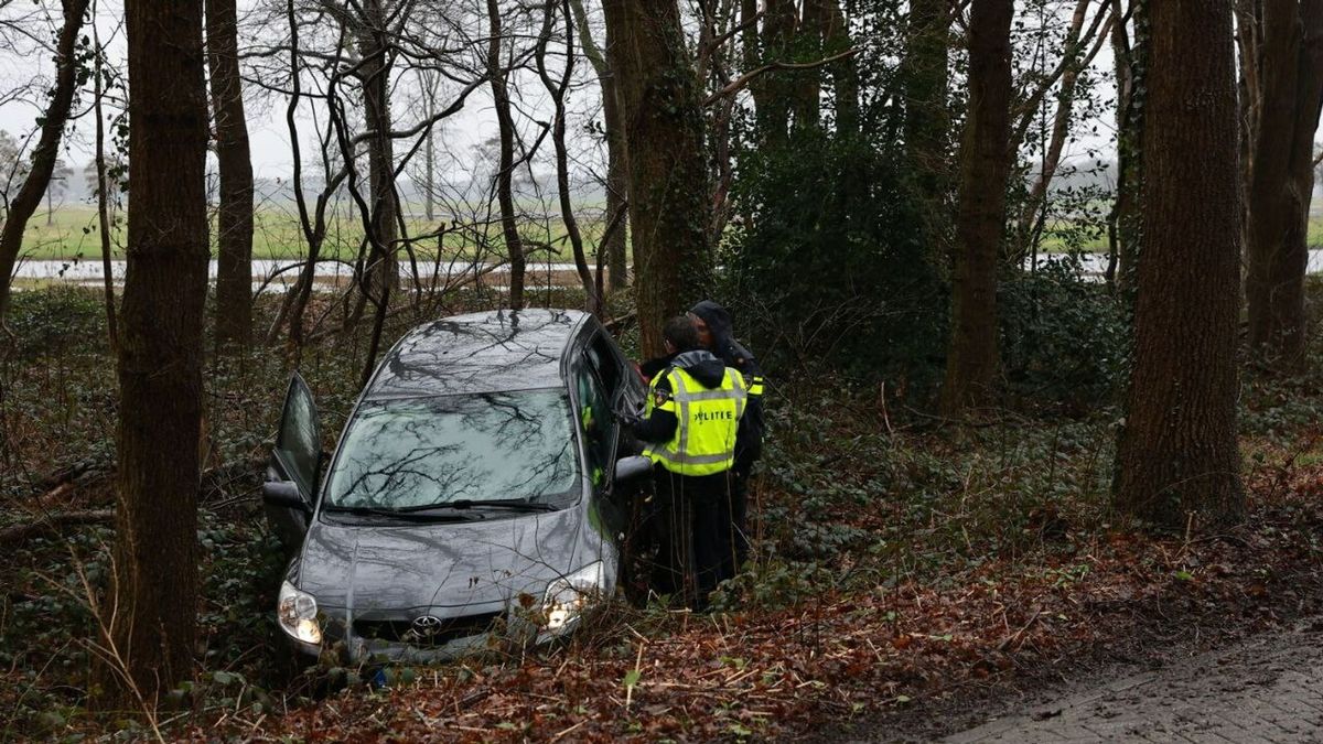 Auto botst tegen boom in Bronnegerveen, bestuurder raakt gewond