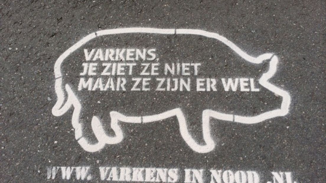 Actie voor varkens