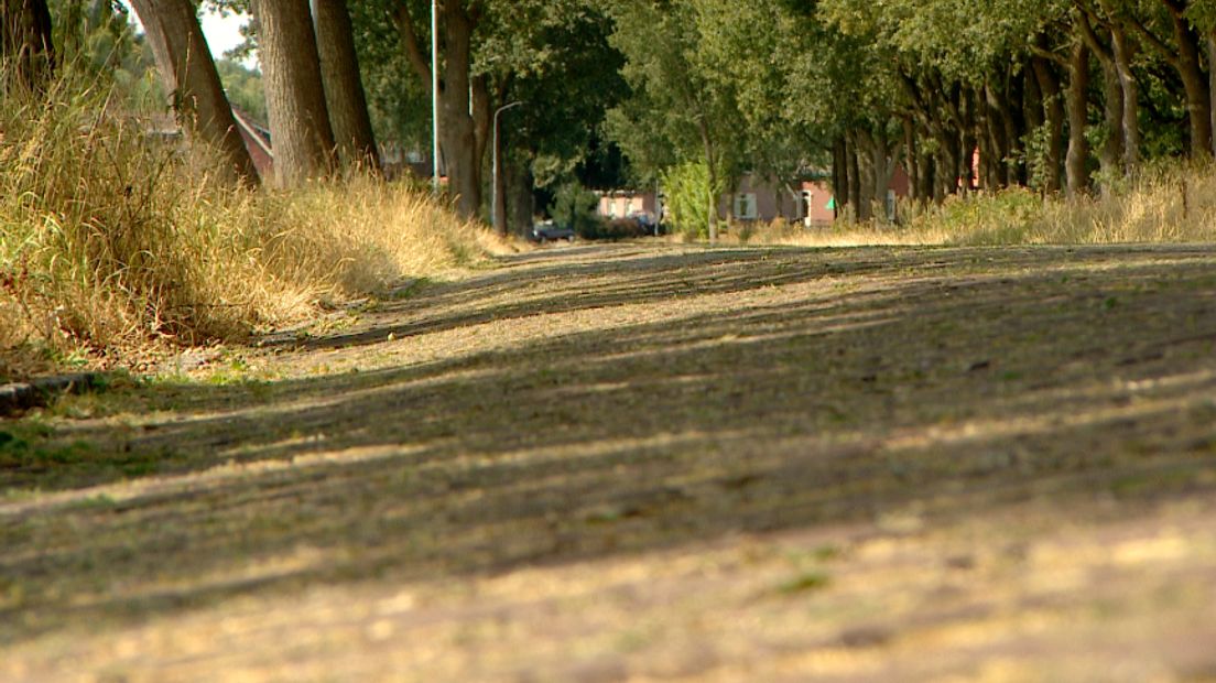 De weg ligt er als een brood in, volgens Plaatselijk Belang (Rechten: Janet Oortwijn/RTV Drenthe)