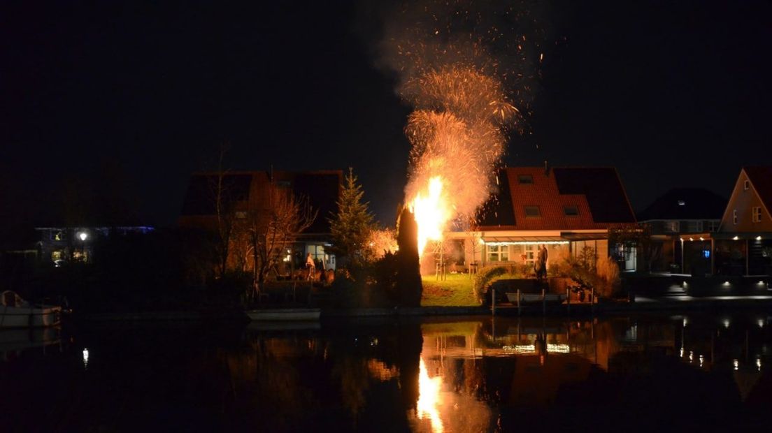 Brand in een rij coniferen