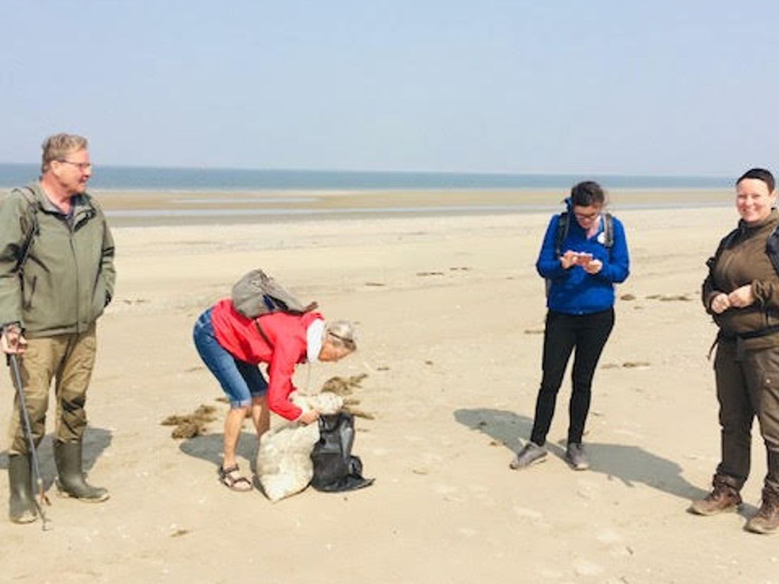 Vrijwilligers lopen over het strand van De Kwade Hoek om afval op te ruimen