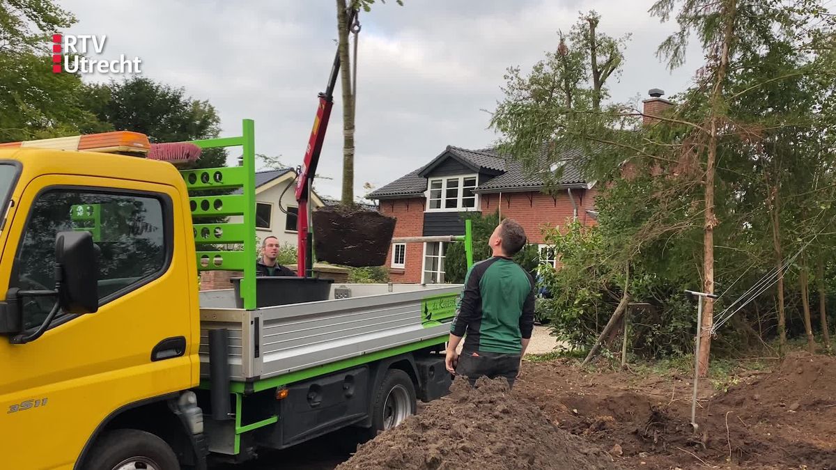 Burgemeester Naafs roept op tot bomendonatie