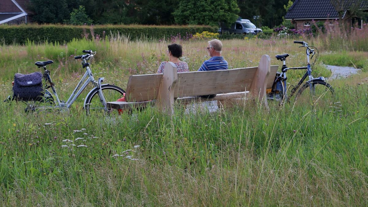 Alinghoek: van loos stukje grond naar waardevolle natuur