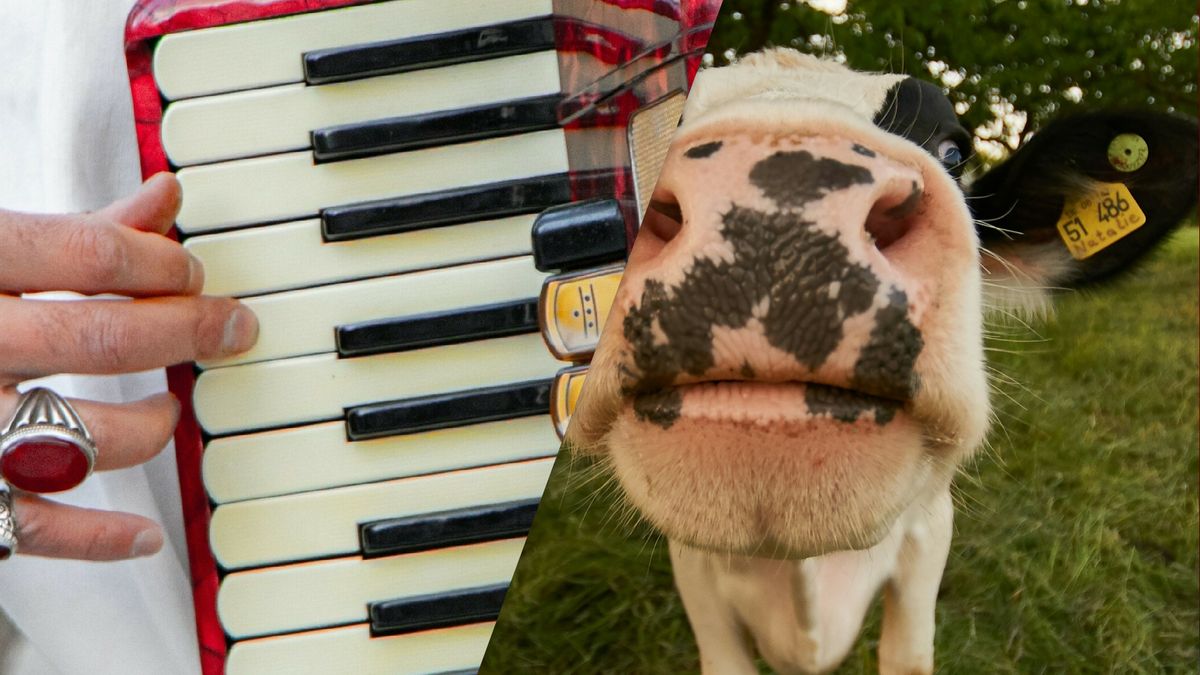 Eropuit dit weekend? Dit is er te doen in Fryslân