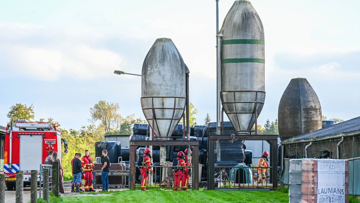 112-nieuws: 21-jarige man uit Tolbert beboet voor vliegen met drone boven politiebureau • Koe beland
