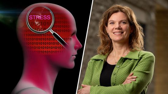 Karin Roelofs wint belangrijkste wetenschapsprijs van Nederland