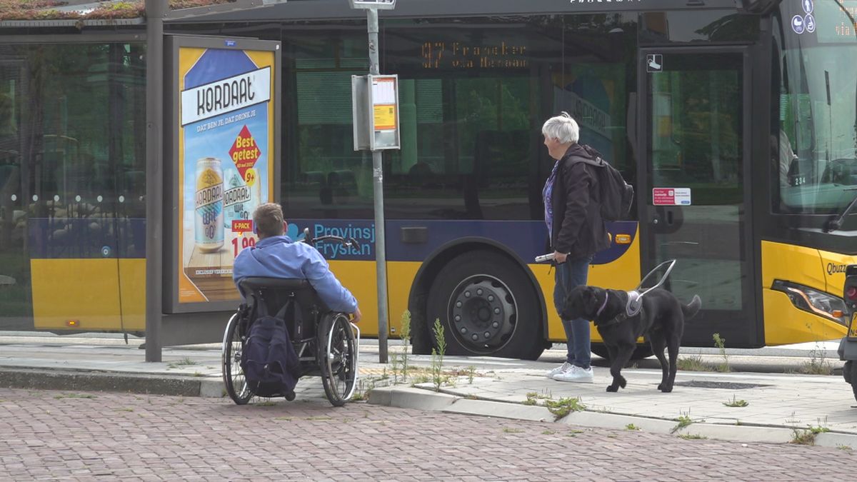 Ook in Fryslân verdwijnen al jaren bushaltes: zo zit het in jouw gemeente