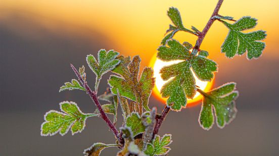IJskoude kerst met volop zon, maar wordt het ook wit?