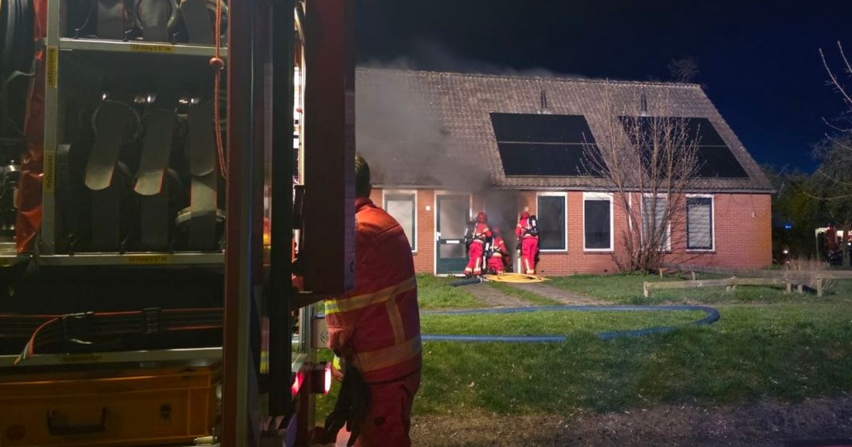 House Fire in Muntendam: Smoke Damage and Two Cats Dead