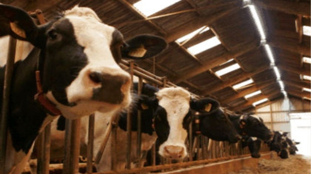 Aanmoedigingsprijs voor landbouwbedrijf in Wapse