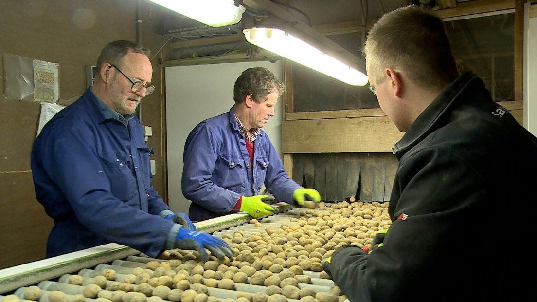 Zeeuws-Vlaamse boeren: 'Tunnel moet tolvrij'