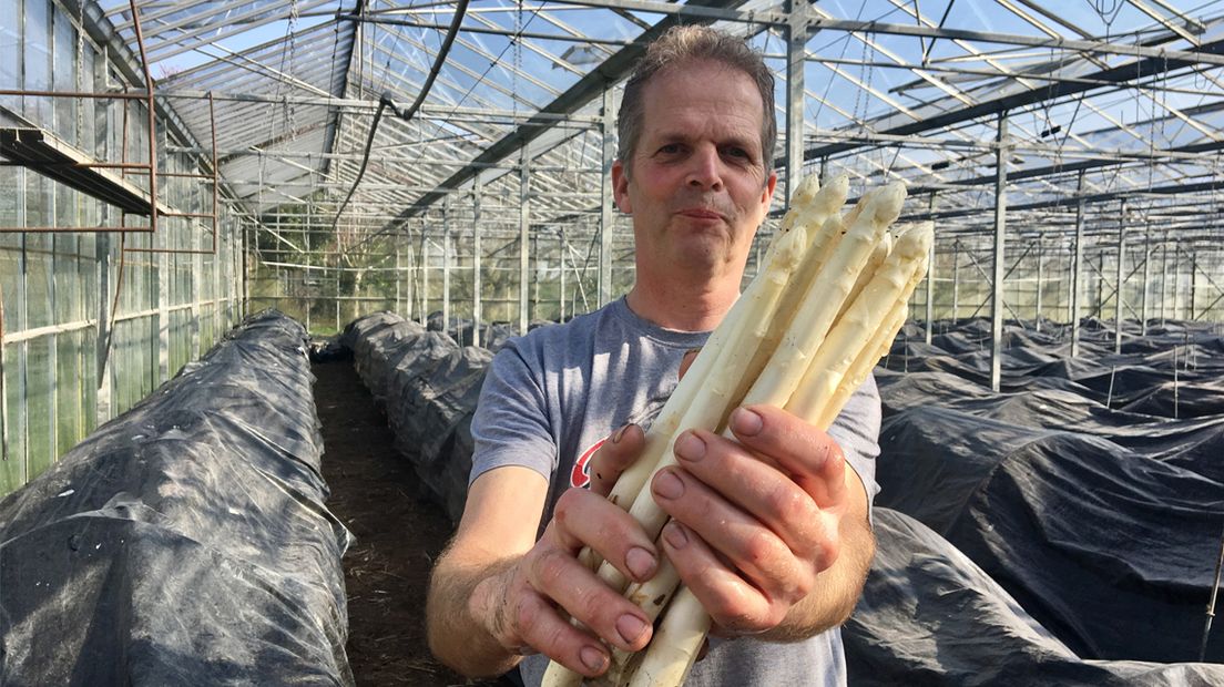 Aspergeseizoen is begonnen 