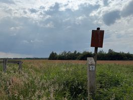Staatsbosbeheer zet natuur te koop bij Nieuw-Weerdinge: 'Goed natuurbeheer staat voorop'