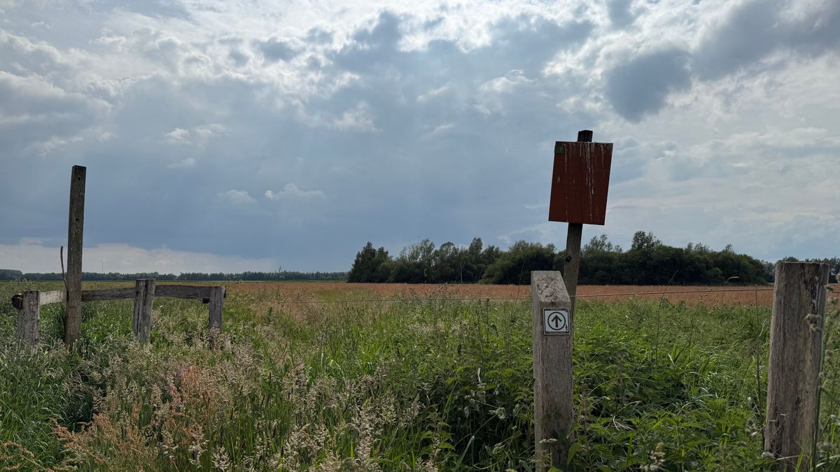 Staatsbosbeheer zet natuur te koop bij Nieuw-Weerdinge: 'Goed natuurbeheer staat voorop'