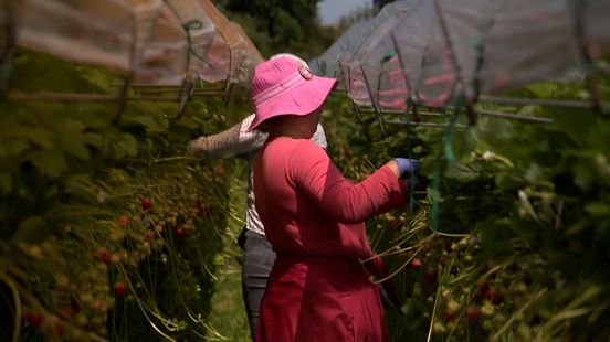 Tiel weet hoe je problemen met arbeidsmigranten oplost