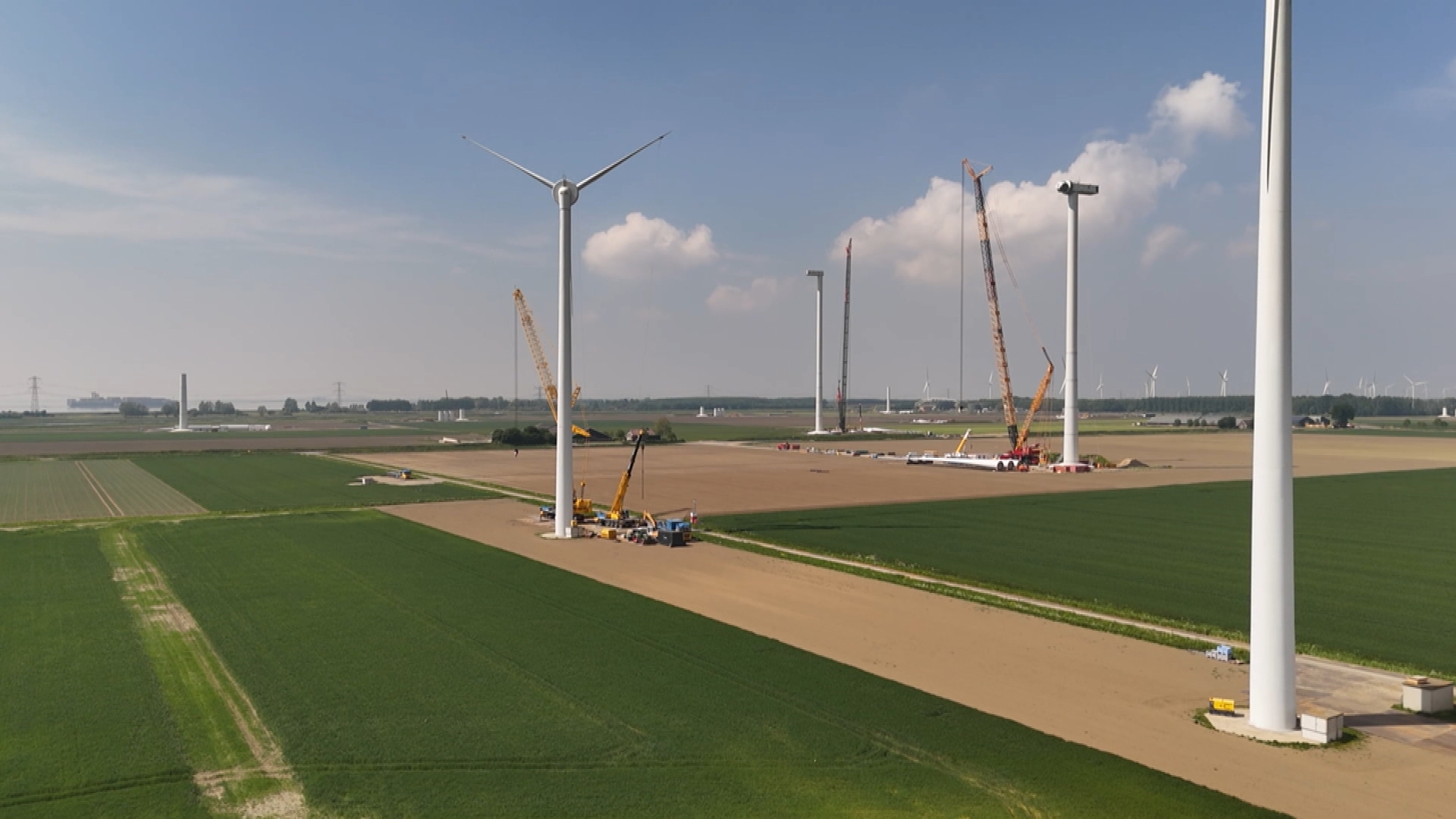 Zeearend en andere vogels vliegen zich niet zomaar te pletter tegen windpark ZeBra