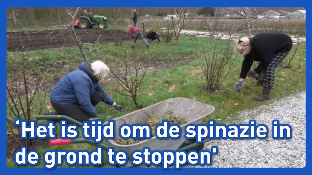 De Toene in Veendam maakt tuin klaar voor lessen over groen