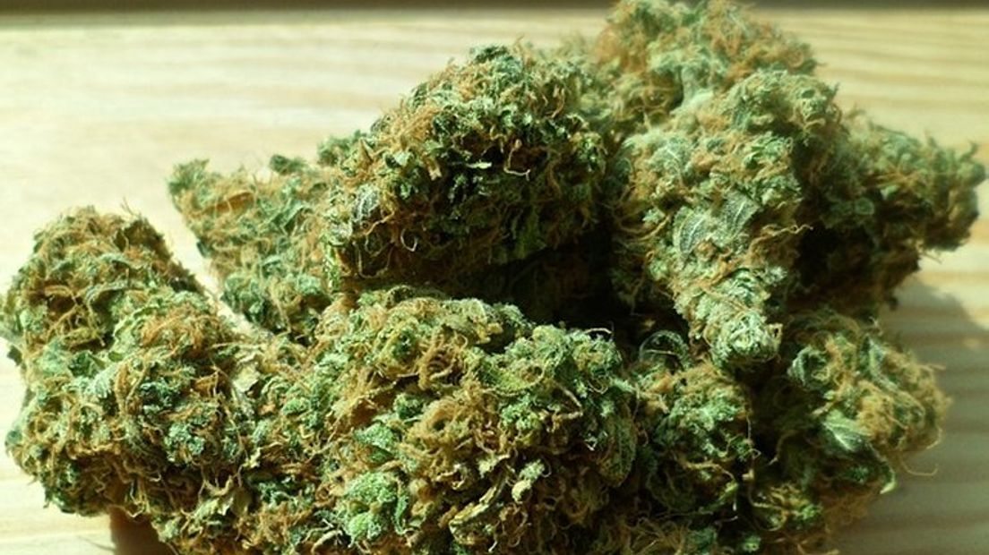 Cannabis wordt vaak medicinaal gebruikt (Rechten: Pixabay.com)