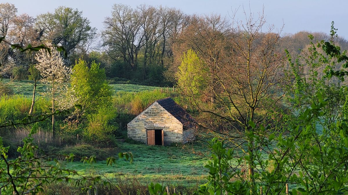 Limburg Kiekt: Gennep, Sint Odiliënberg, Klimmen en...