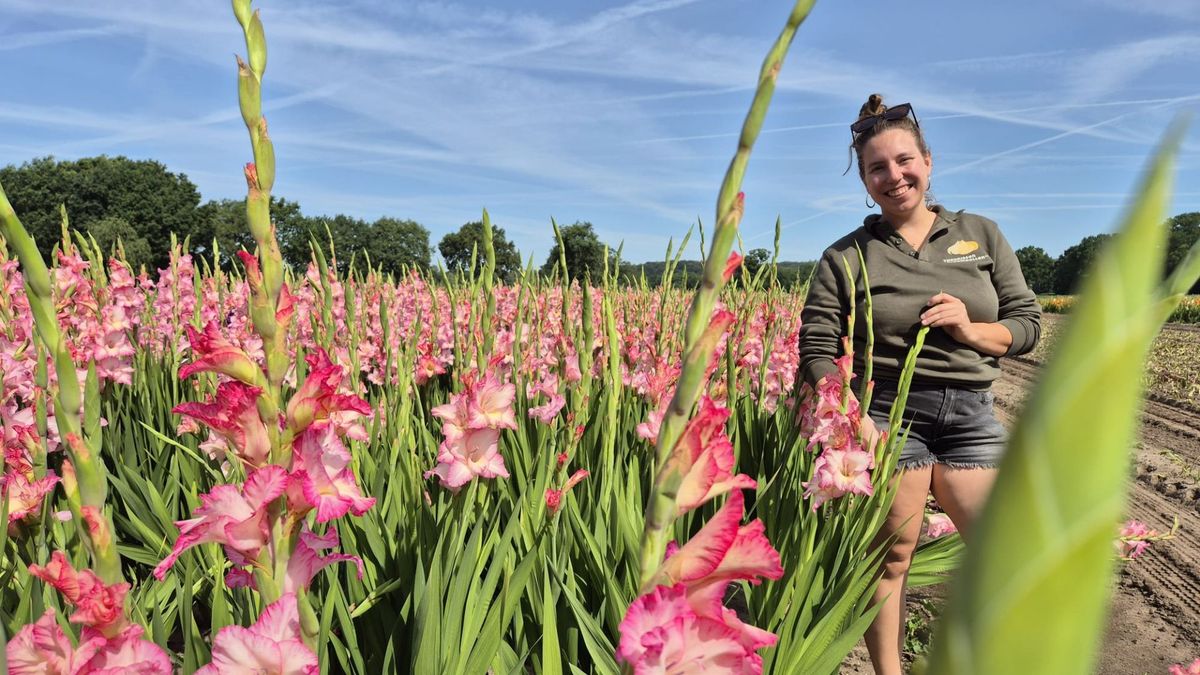 Gladiolenteler Louise loopt eindelijk zelf de Vierdaagse