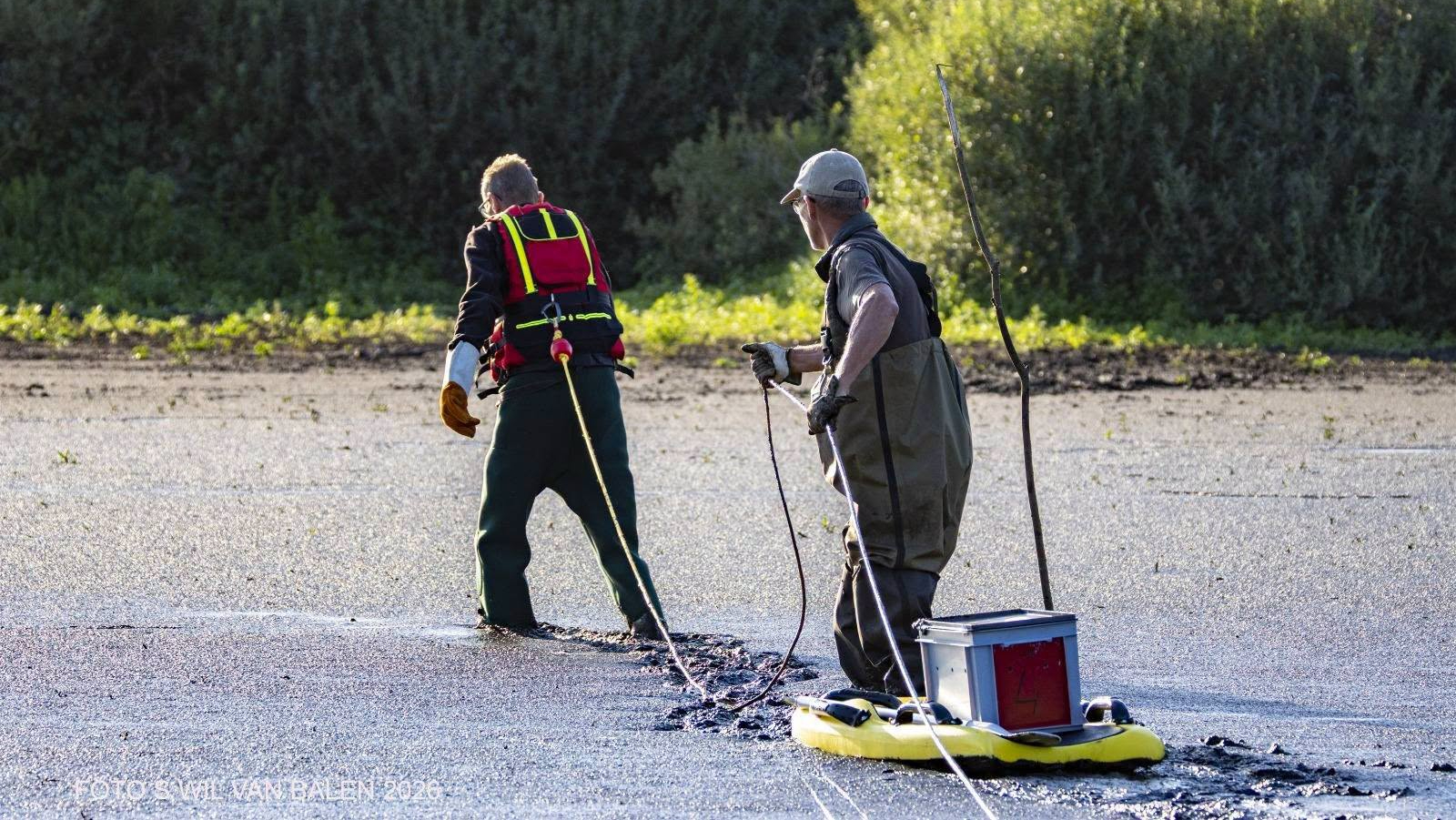 Uiteindelijk lukte het om alle vastzittende aalscholvers uit de bagger te halen.