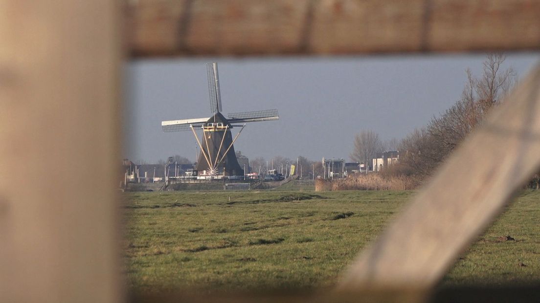 Uitzicht op een molen in de Gnephoekpolder