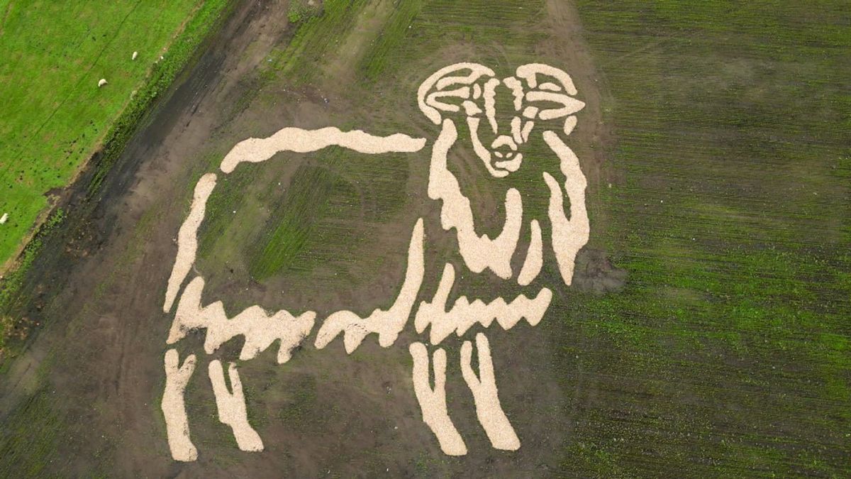 Drijber trots op kunstwerken in het dorp: 'Met z'n allen voor elkaar gekregen'