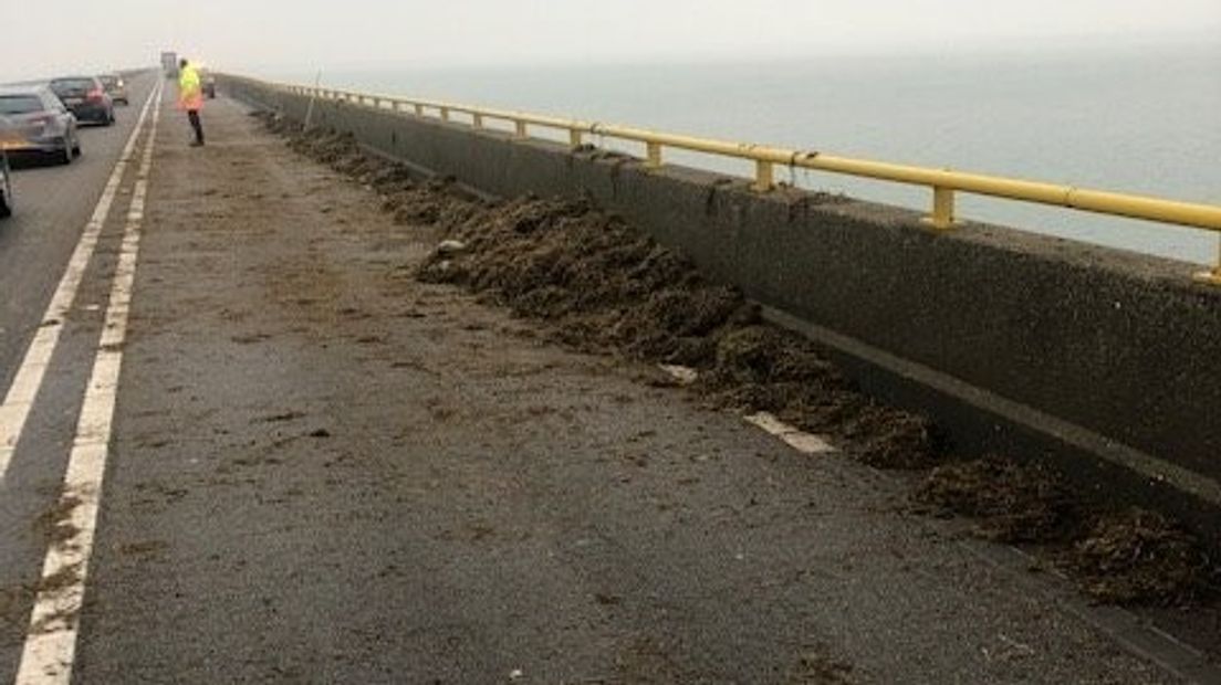 Zeelandbrug vrijgegeven nadat vrachtwagen balen met hooi verloor