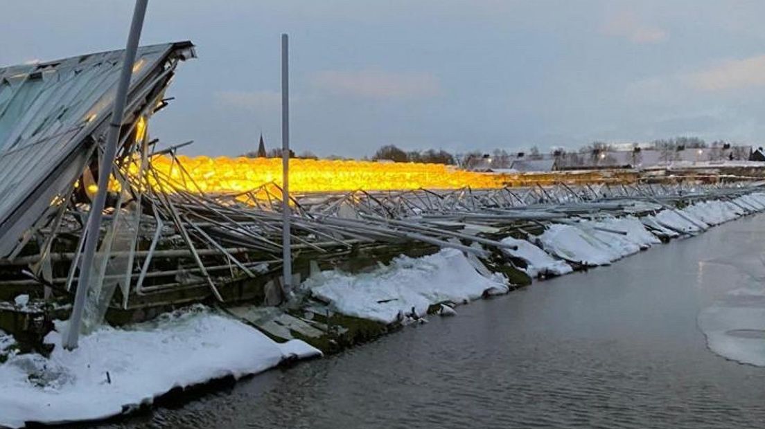 De kas van Peter Lievaart in Naaldwijk