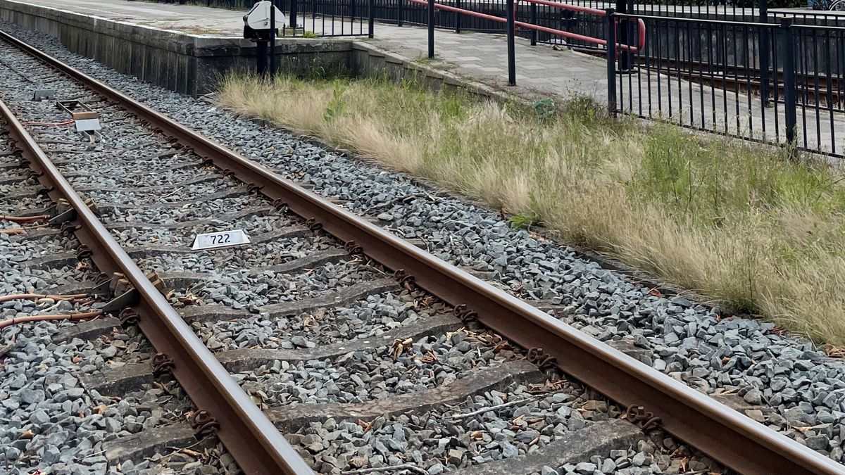 Geen treinen tussen Leeuwarden en Sneek