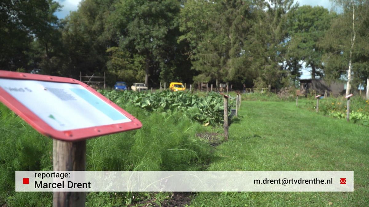 Populariteit zelfoogsttuin blijft groeien: 'we hebben nu een wachtlijst'