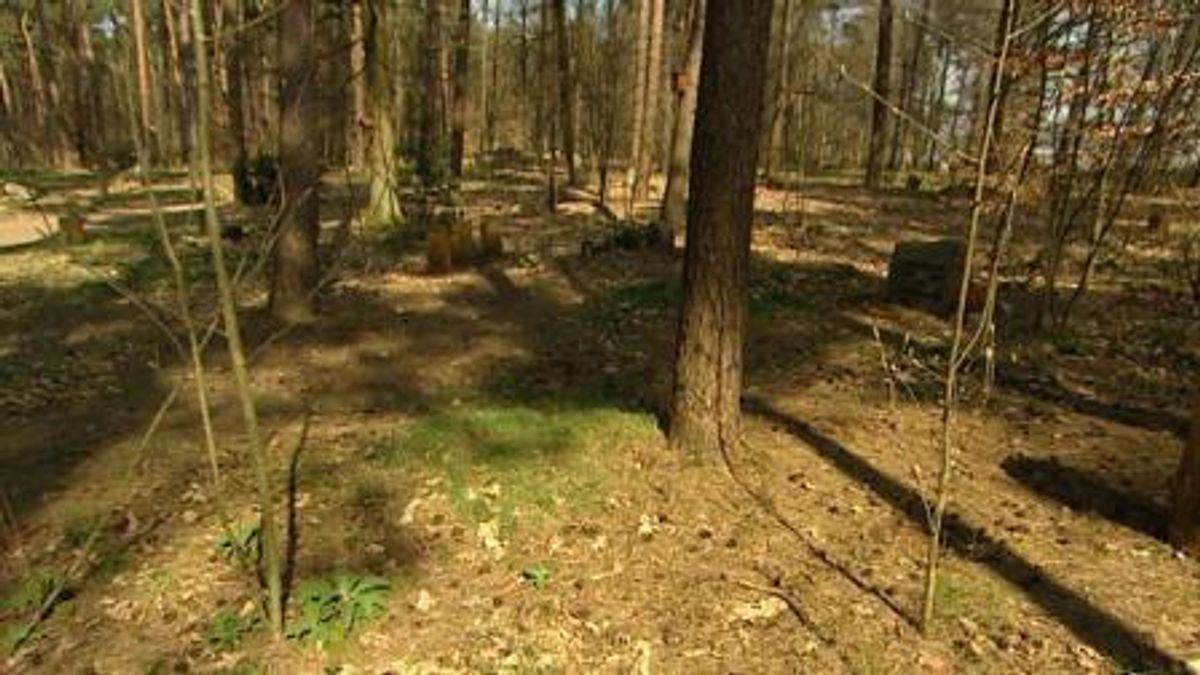 Ook natuurbegraafplaats in Eygelshoven