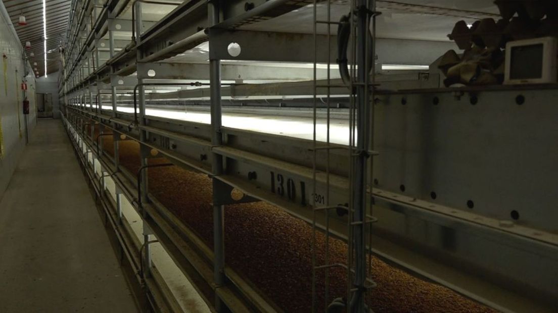 Allemaal banden van 50 meter boven elkaar waarop allemaal meelwormen gekweekt kunnen worden